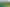 Pacific Islands - Address withheld