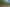 Pacific Islands - Address withheld