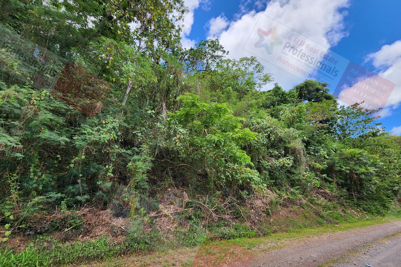 ATTENTION BUILDERS - LAND ON KORO ISLAND - More