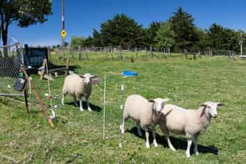 449 Church Road, Kaitaia