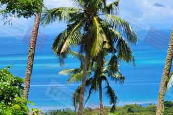 Pacific Islands - Address withheld