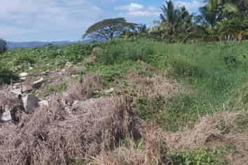 Pacific Islands - Address withheld