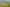 2668 State Highway 10, Mangonui