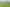 Pacific Islands - Address withheld