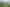 Pacific Islands - Address withheld