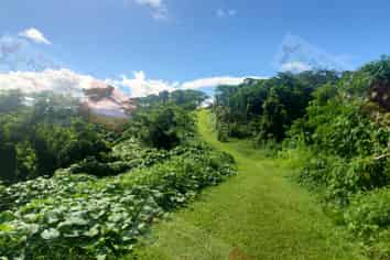Pacific Islands - Address withheld