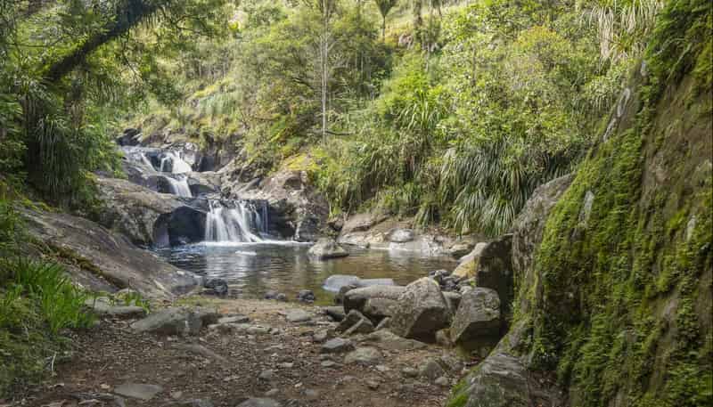 586 Tapu Coroglen Road, Tapu