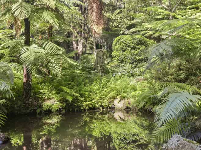 586 Tapu Coroglen Road, Tapu