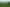 Pacific Islands - Address withheld