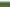 Pacific Islands - Address withheld