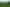 Pacific Islands - Address withheld