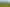 Pacific Islands - Address withheld