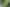 Pacific Islands - Address withheld