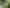 Pacific Islands - Address withheld