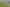 77 Old North Road, Whakapara