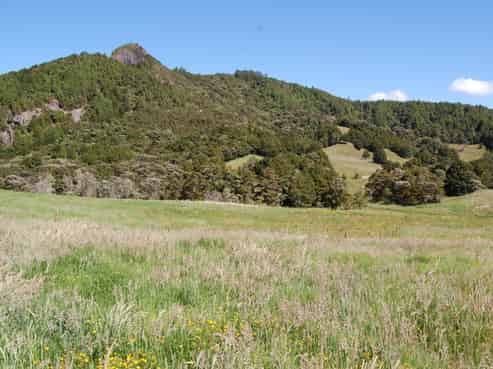 Lot 1,2,3 Baldrock Road, Kaiwaka