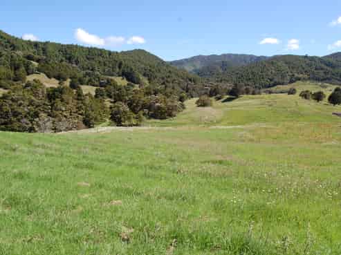 Lot 1,2,3 Baldrock Road, Kaiwaka
