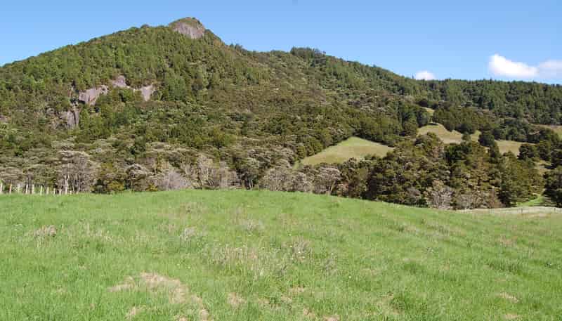 Lot 1,2,3 Baldrock Road, Kaiwaka
