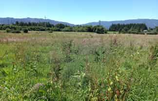 Stafford Street, Westport