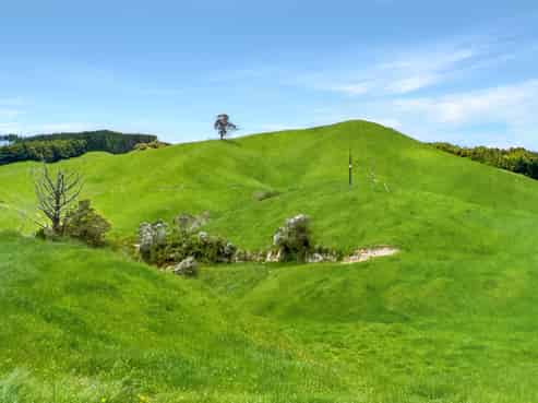 1475 Manawahe Road, Manawahe