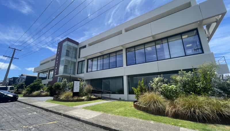 173 Captain Springs Road, Onehunga