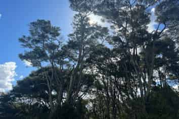 11  Ti Tree Lane, Stanmore Bay