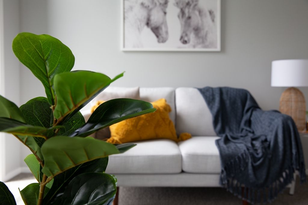 Easy Living Done Right – Modern Papamoa Duplex - Bild 5