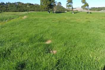  Adair Road, Ruatapu