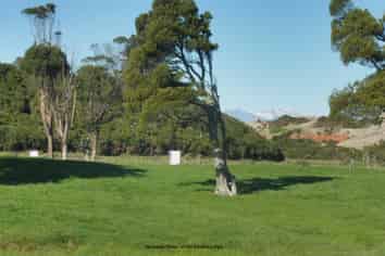  Adair Road, Ruatapu