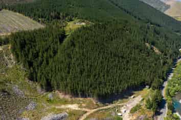 6673 State Highway 63, Wairau Valley