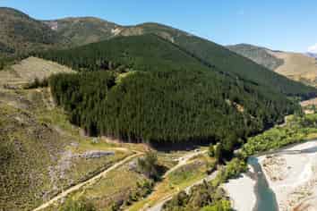 6673 State Highway 63, Wairau Valley