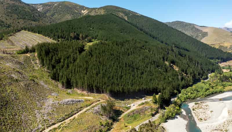 6673 State Highway 63, Wairau Valley