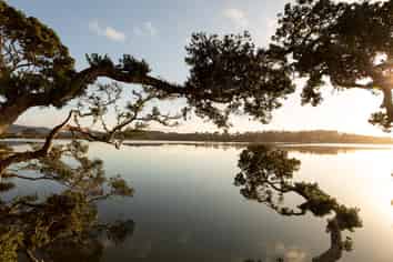 13 William Gilbert Drive, Mangawhai