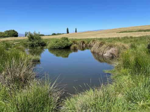  Nelsen Ridge Road, Waikerikeri, Alexandra