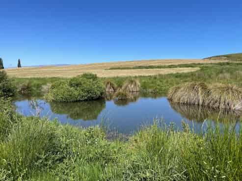  Nelsen Ridge Road, Waikerikeri, Alexandra