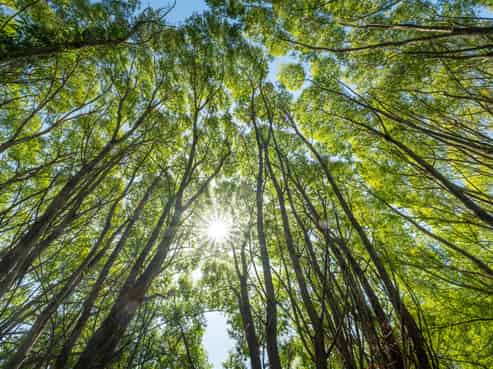 50  Cliff Road, Tasman