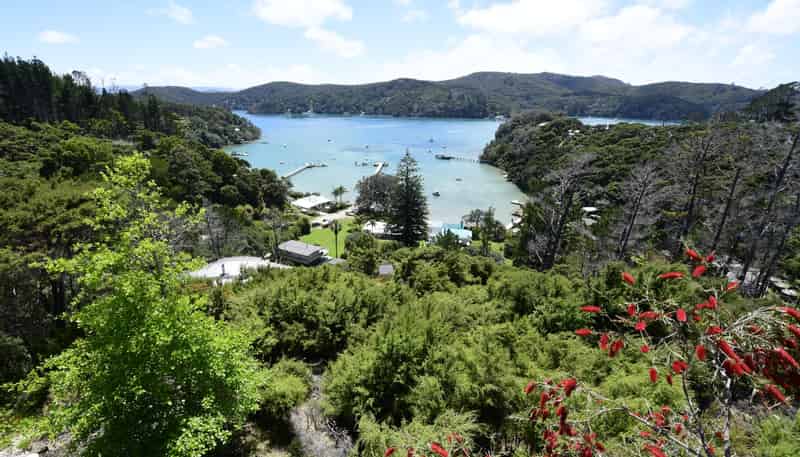 7 Lavinia Place, Kawau Island