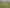 1739A Ponga Road, Hunua