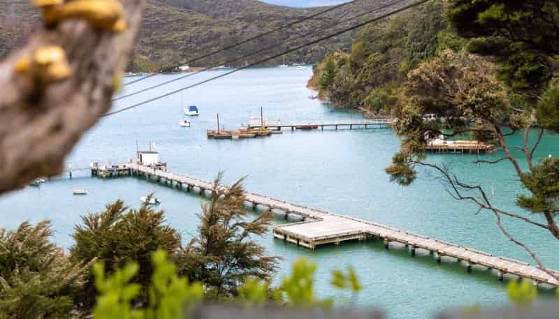 4 Schoolhouse Bay Road, Kawau Island