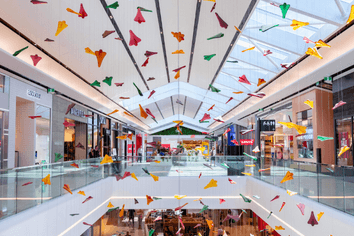 IMPORT, DISTRIBUTION AND RETAIL BUSINESS
