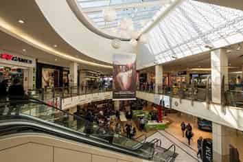 IMPORT, DISTRIBUTION AND RETAIL BUSINESS
