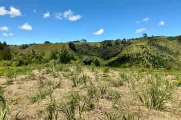 Lot 2 & 4 DP558999 & DP560071 Dill Road, Kaipara Flats