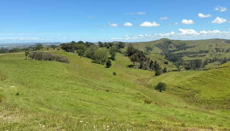 Lot 3 DP539905 Dill Road, Kaipara Flats