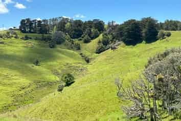 Lot 3 DP539905 Dill Road, Kaipara Flats
