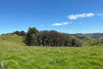 Lot 3 DP539905 Dill Road, Kaipara Flats