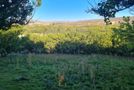 219 Manuherikia Road, Alexandra, Central Otago, Central Otago / Lakes District