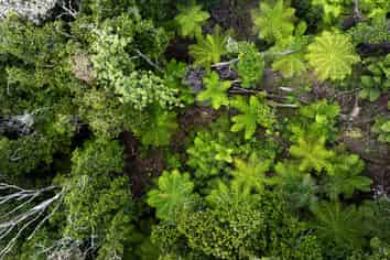 Lot 7 Smelting House Bay, Kawau Island