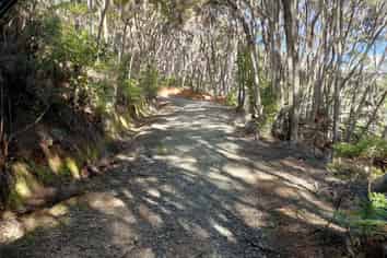 Lot 7 Smelting House Bay, Kawau Island