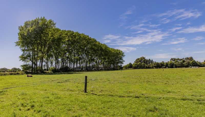 405 Bradleys Road, Ohoka