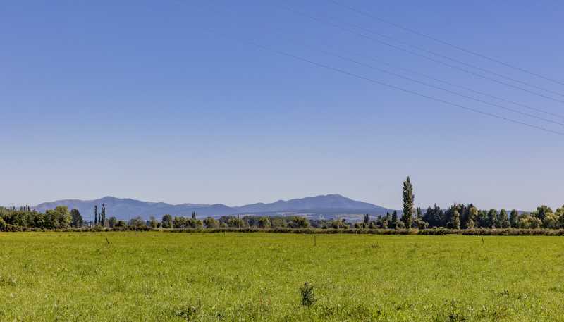 405 Bradleys Road, Ohoka